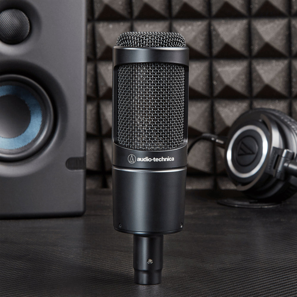 Audio-Technica Pro: AT2035 Condenser Studio Microphone