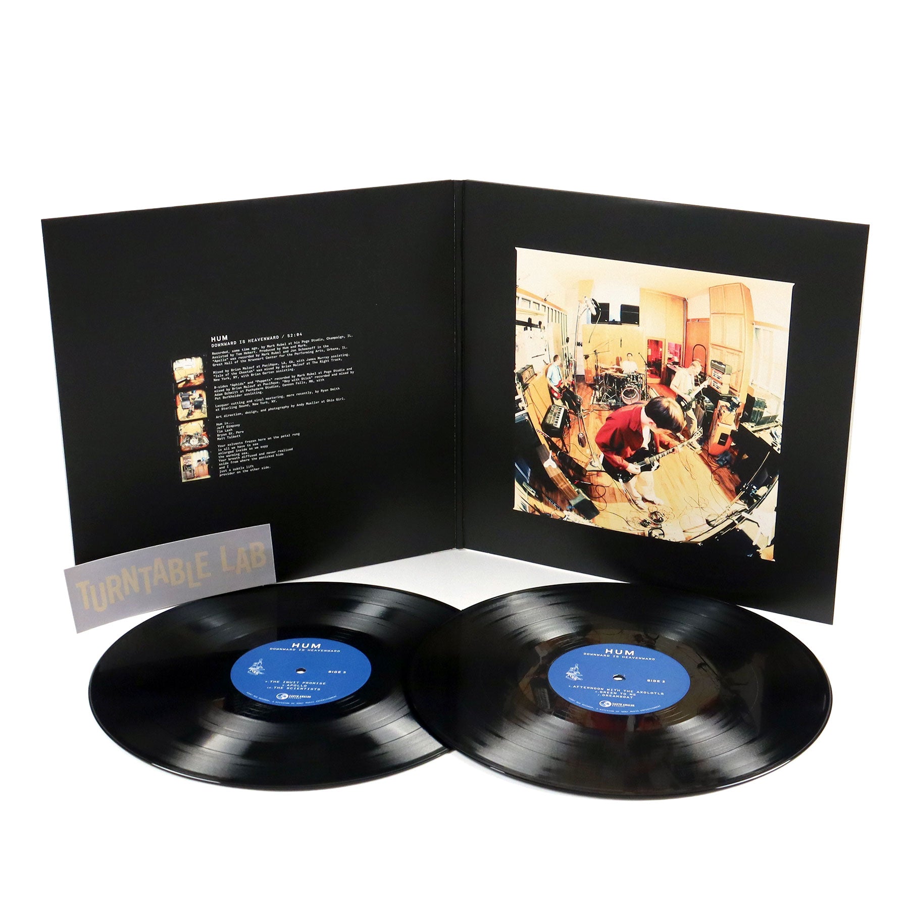 Hum: Downward Is Heavenward (180g) Vinyl 2LP — TurntableLab.com