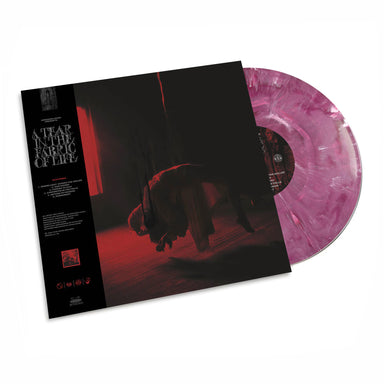 Knocked Loose: A Tear In The Fabric Of Life (Colored Vinyl) Vinyl LP