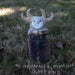 MJ Lenderman & Wednesday: Guttering (Indie Exclusive Colored Vinyl) Vinyl 12"