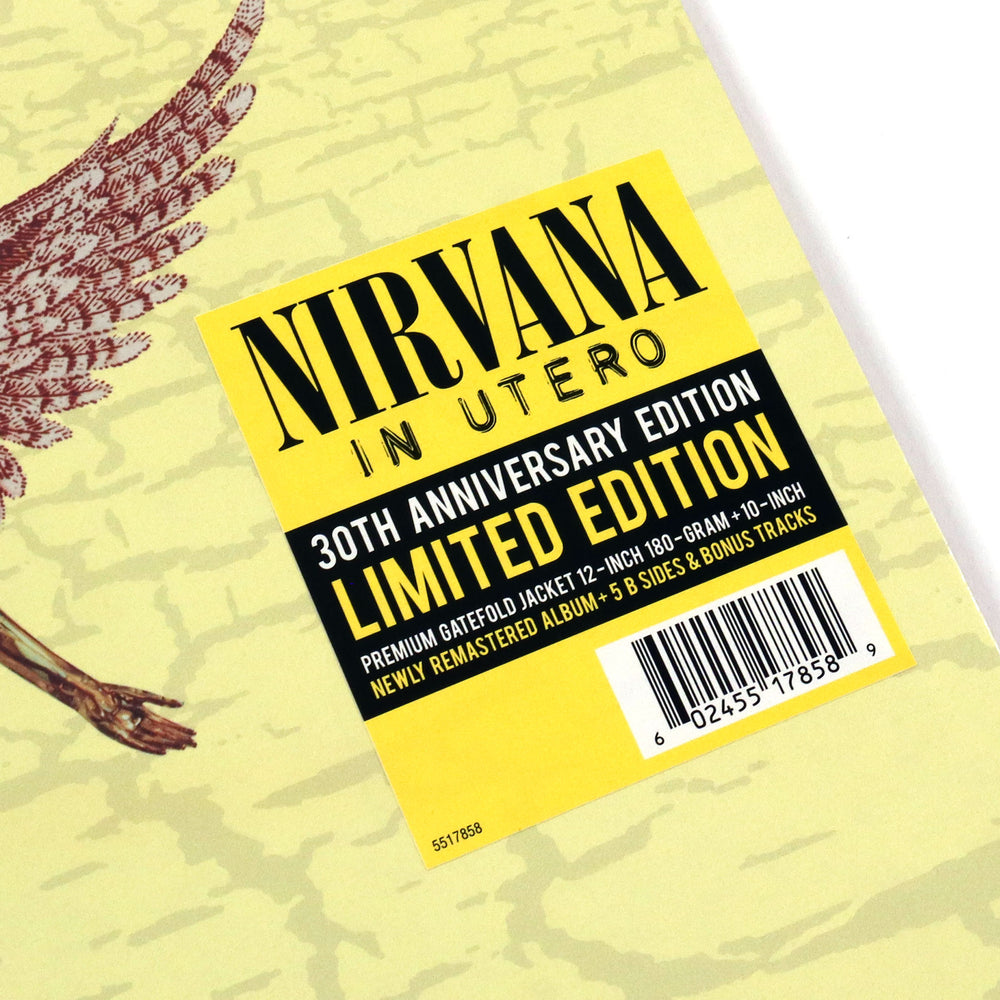 Nirvana: In Utero - 30th Anniversary Edition (180g) Vinyl LP+10