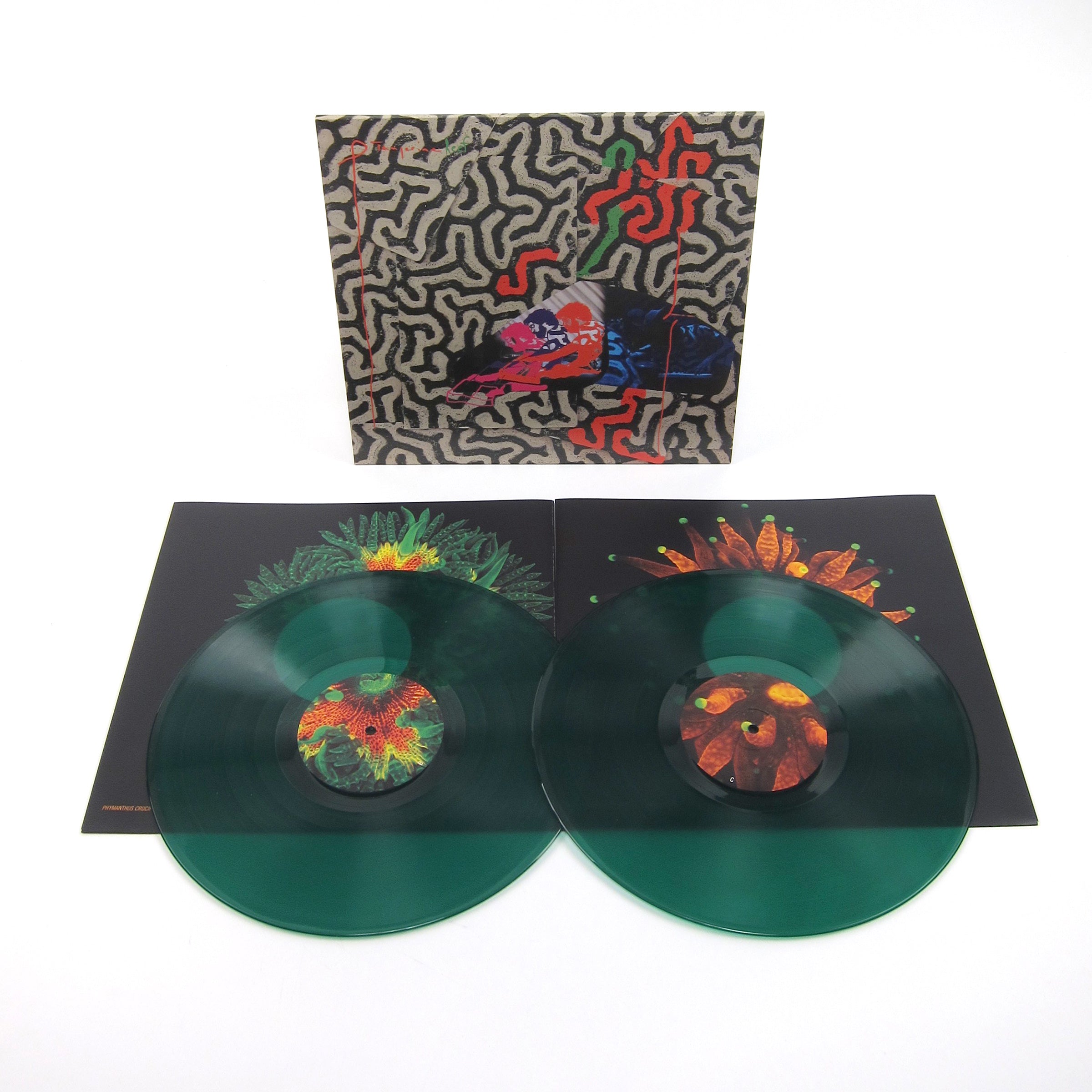 Animal Collective: Tangerine Reef (180g, Indie Exclusive Colored Vinyl 