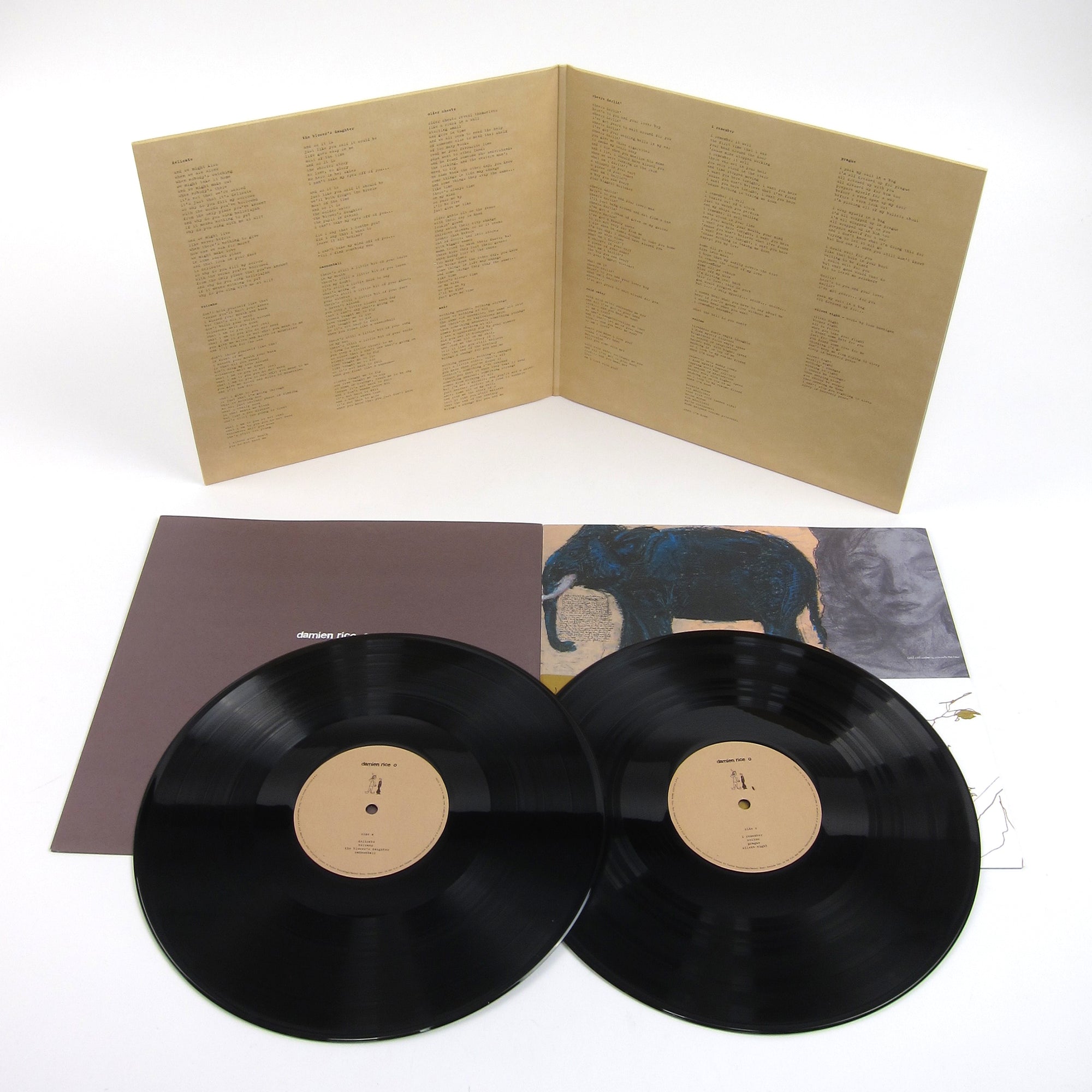 Damien Rice: O (180g) Vinyl 2LP — TurntableLab.com