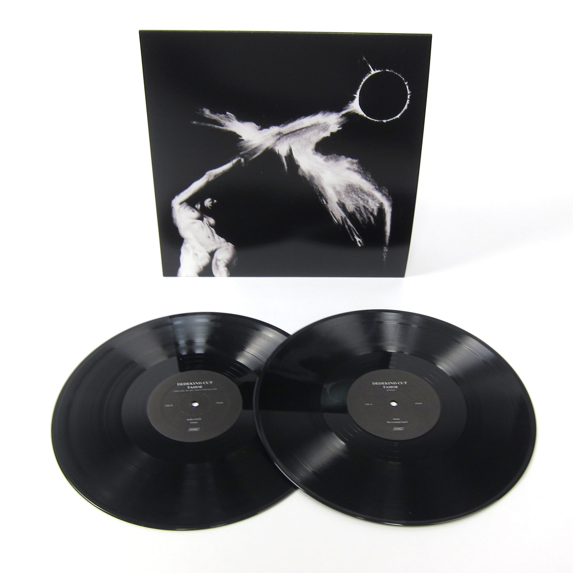 Dedekind Cut: Tahoe Vinyl 2LP — TurntableLab.com