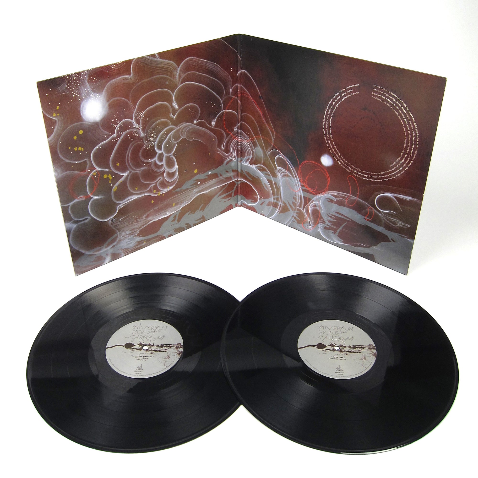 Silversun Pickups: Carnavas Vinyl 2LP — TurntableLab.com